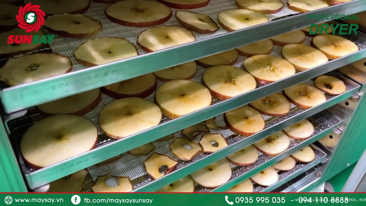 Máy sấy nhiệt đối lưu 80 khay tại Khánh Hoà