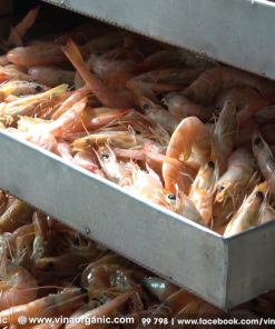 Máy sấy tôm khô, máy sấy cá sấy mực, sấy hải sản - chi tiết máy 2