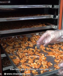 Máy sấy tôm khô, máy sấy cá sấy mực, sấy hải sản