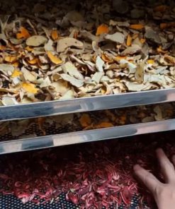 Tại sao các cơ sở dược liệu khô lại dùng máy sấy dược liệu để nâng cao chất lượng sản phẩm