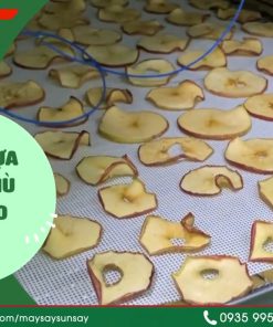 Máy Sấy Lạnh SUNSAY Chất Lượng Cao Hiệu Quả