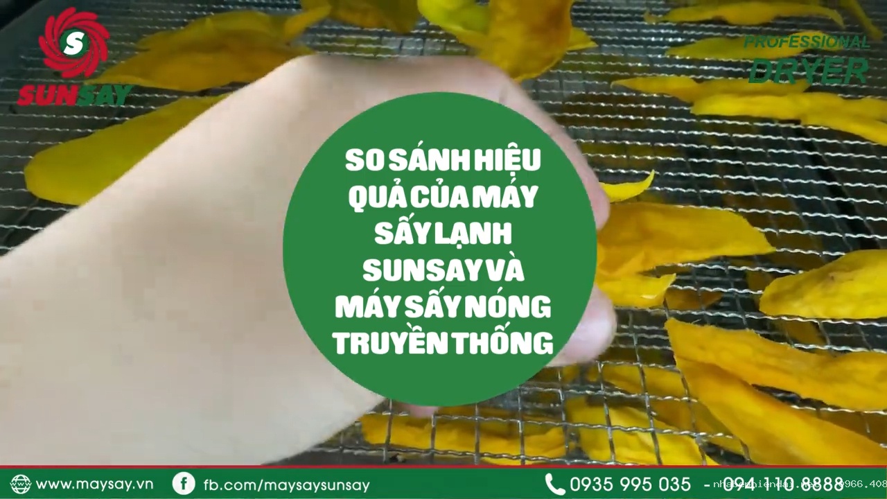 Máy Sấy Lạnh SUNSAY Chất Lượng Cao Hiệu Quả