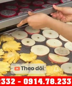 Giá máy sấy hoa quả bao nhiêu - chi tiết máy 2