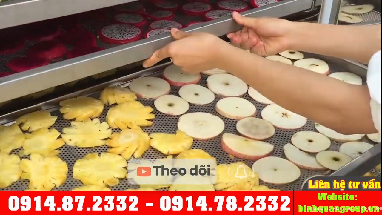 Giá máy sấy hoa quả bao nhiêu