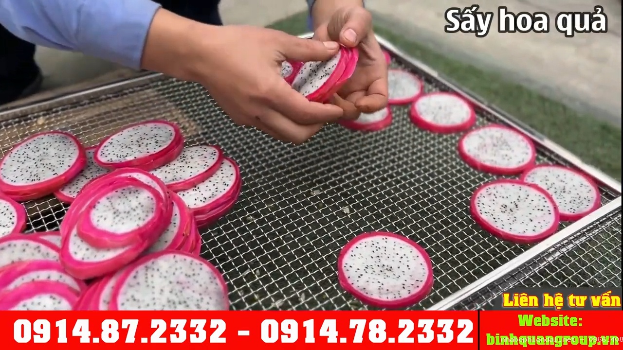 Giá máy sấy hoa quả bao nhiêu