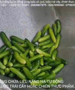 Máy luộc củ quả tự động nâng lòng chứa liệu - chi tiết máy 2